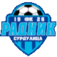 Team logo